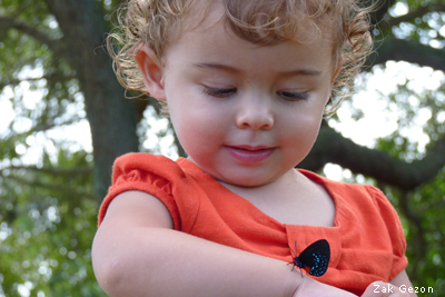 girl with Atala butterfly